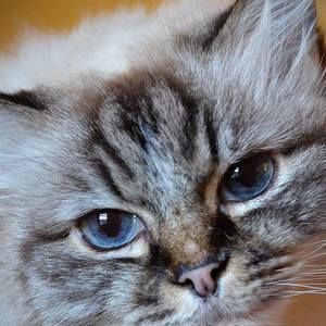 Meet your Posher, Donna